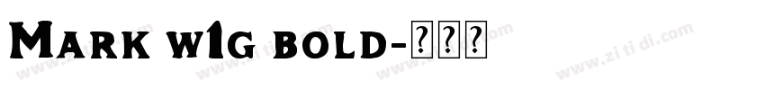 Mark w1g bold字体转换